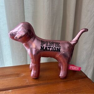 Shiny Pink VS PINK Nation Dog